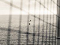 senza titolo-9